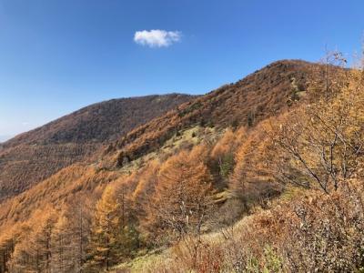 紅葉の長野路