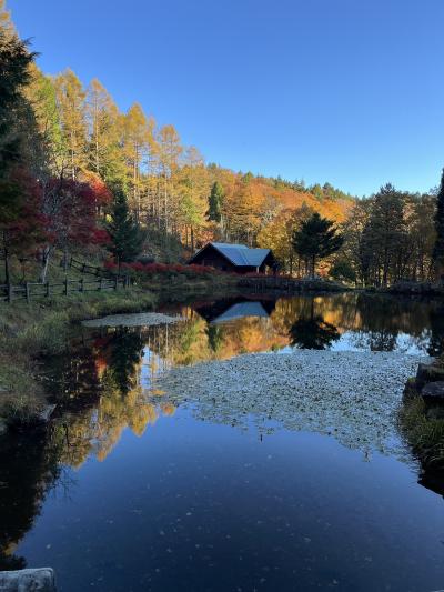 紅葉のせせらぎ街道ドライブ