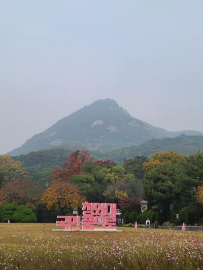 秋の始まりは韓国から　～青瓦台編～