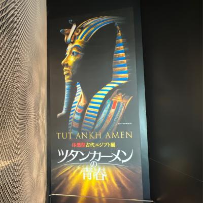 【11/1　人生初の埼玉】 東所沢、大宮へ出張。　ツタンカーメン展にも行ってみました