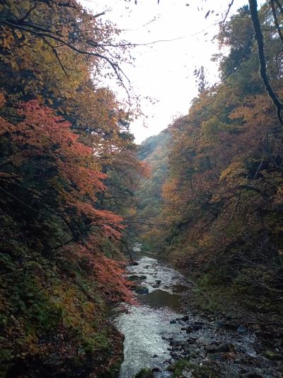 東北２０２３秋旅行記　【２】面白山紅葉渓谷＆山寺