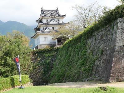 42年振りの愛媛の旅は城巡りの旅になった　②宇和島街巡り