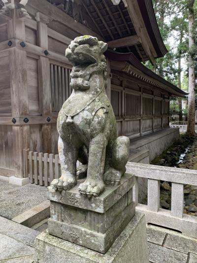 新潟県　弥彦神社　伊東忠太