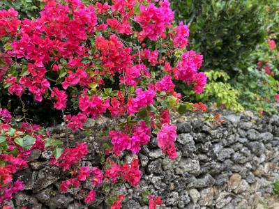 女子2人 沖縄旅3泊4日 その②