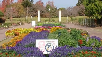 春日井【緑化植物園の紅葉】に行って来ました！