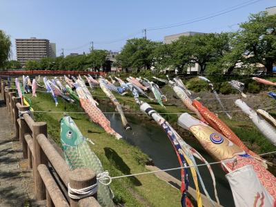 鳥取に帰ることを帰鳥というんだってね／その７／鳥取市役所のすなば珈琲で素ラーメンの代わりの香素ラーメンをひとり味わう。