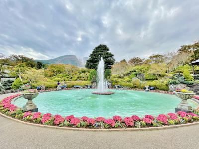 ススキ~バラ~紅葉色づき始めた秋の箱根へ☆1日目