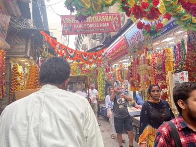 JALで行くセントレア発羽田経由 デリー・アグラ2泊4日 デリー編2日目(アグラに移動まで)