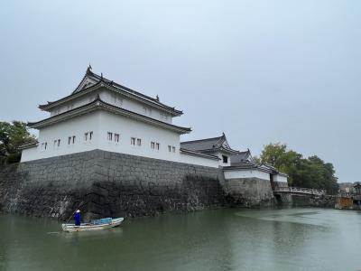 「どうする？家康」のお墓参りする？