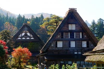 岐阜県　日帰り　紅葉の白川郷の旅