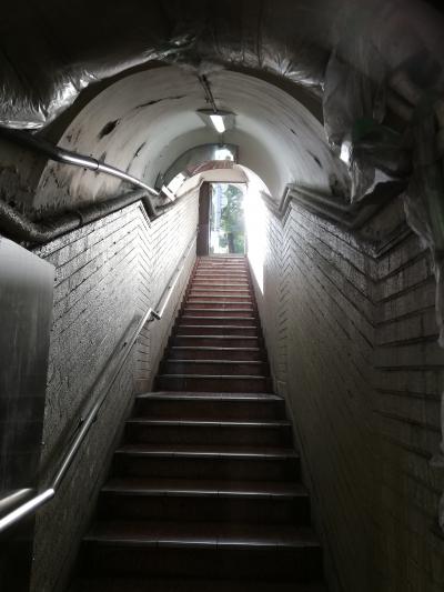 さらばガリバートンネルと隠れ家的イタリアンな神戸　2023.11.5