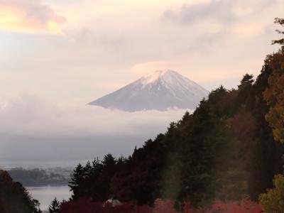 河口湖、紅葉2023