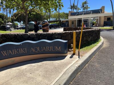 ワイキキ水族館へ行きました。