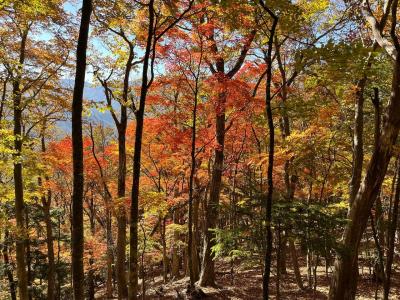 奈良倉山～小菅の湯　秋の紅葉ハイキング