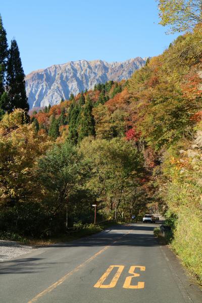 好天間違いなしの衝動紅葉狩り＠大山