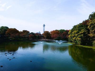 大阪 秋フェス（四天王寺～一心寺～茶臼山～慶沢園～天王寺公園）～♪(^o^) -☆