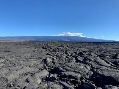 2023年8月 ハワイ３島(オアフ・マウイ・ハワイ）周遊旅行⑦ハワイ島Ⅱ