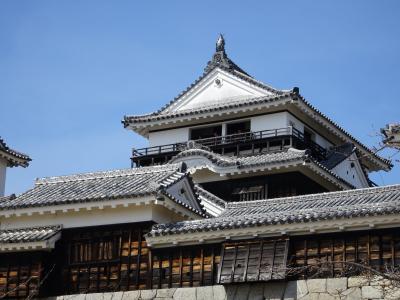 初1人旅は愛媛で1日1城！　松山編