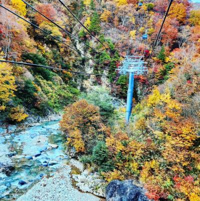 シニアトラベラー！ドラゴンドラで紅葉リベンジ満喫の旅②