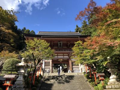 京都一周トレイル　北山東コース　大原から貴船まで歩いてみた