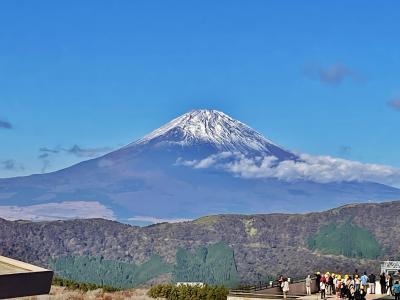 ススキ~バラ~紅葉色づき始めた秋の箱根へ☆2日目