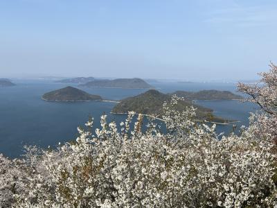 ANAにキュン！で、日帰り香川
