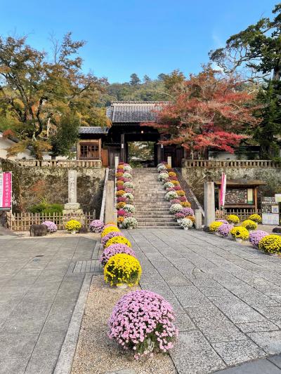 11月の連休旅：修善寺温泉