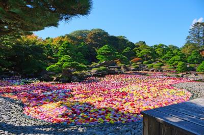 由志園に行きたくて島根へ  ～やっと行けた天竺牡丹の絶景が広がる由志園～