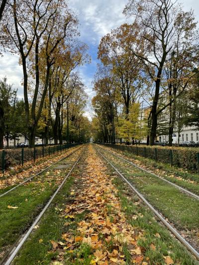 秋真っ盛りのポーランド南部(o^^o)ワクワクする町を歩いて来ましたぁ①クラクフ到着まで