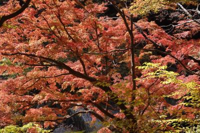 昇仙峡 紅葉　ちょい見頃だった