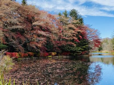 2023年11月 寒かった秋の軽井沢「東急ハーヴェストクラブ旧軽井沢」