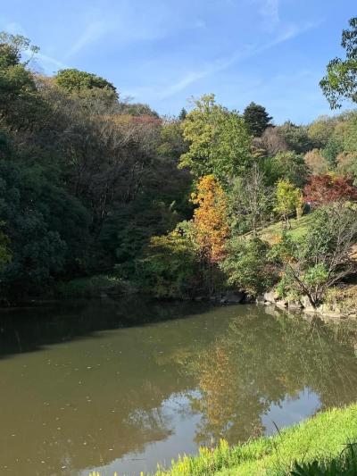 東京薬科大学植物園