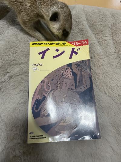 JALで行くセントレア発羽田経由 デリー・アグラ2泊4日 デリー編初日