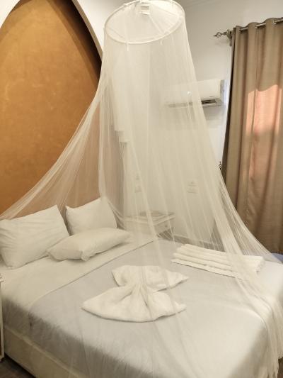 エジプト個人旅行NO4(Paris ホテル)