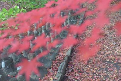 紅葉の美しい古刹「昌禅寺」晩秋でも完全燃焼ならず残念な年!