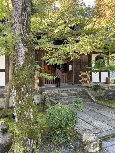 京都旅行　永観堂・白沙村荘・橋本関雪記念館