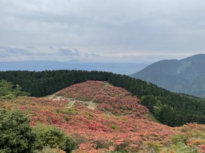 【47都道府県の旅】大和葛城山ハイクとツツジ