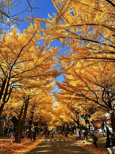 弾丸札幌！海鮮食べ歩き旅