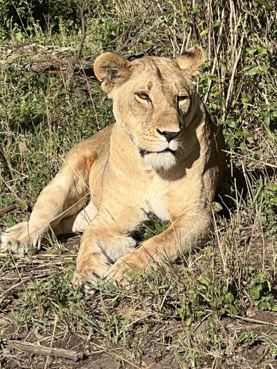 2023年10月 タンザニアサファリの旅 その①準備編~1日目