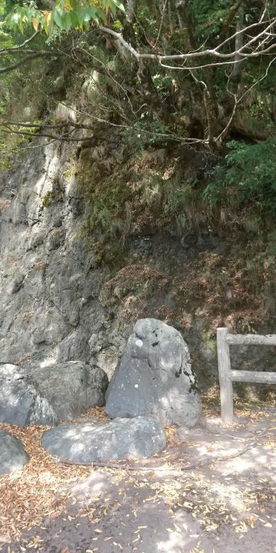 23お盆旅行 最終日 白馬~糸魚川~福井