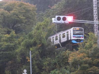 雨の伊東街歩き。季節外れの桜に出会う。