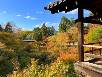 秋の京都へ３日目の２　八坂神社　東福寺　ランチはブノワ京都