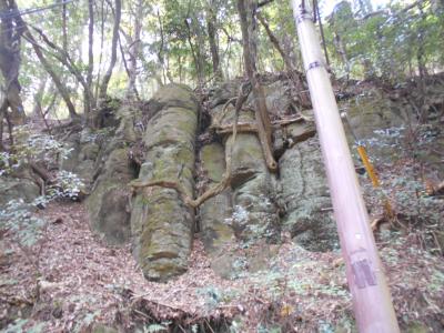 室生ダム周辺で火砕流堆積物を観察する。