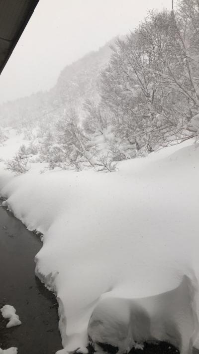 コロナ中だけど・・・初めての冬の東北一人旅 ①青森アウガ・酸ヶ湯温泉