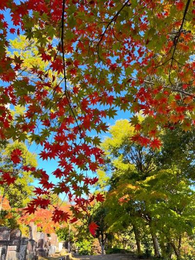 秋の京都へ４日目の１　嵯峨野を歩く