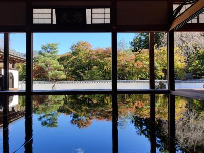 宝徳寺の「床もみじ」拝観、レンタサイクルで時間ロス無く快適な観光が出来ました