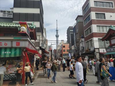 銀座、浅草、上野、渋谷、スカイツリーなど東京観光の定番の旅を楽しむ