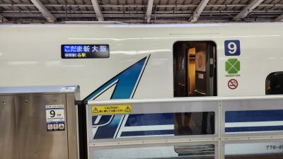 新幹線こだまグリーン車乗車記