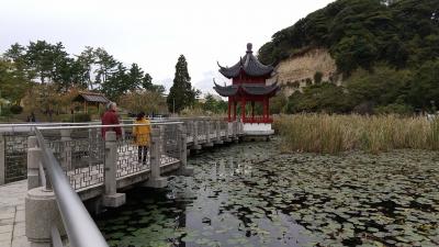 三渓園の紅葉はまだだった！