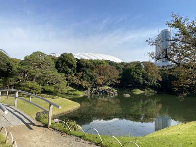 2023年11月　東京大神宮・小石川後楽園・文京シビックセンター